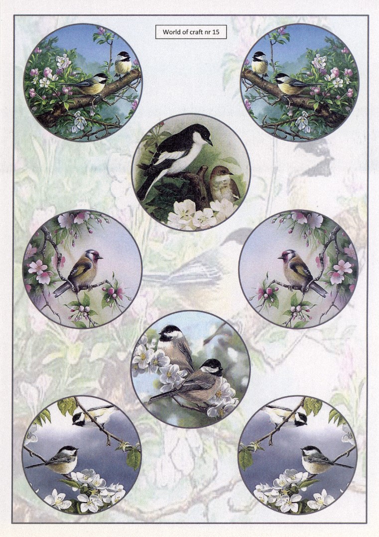 Cutting Sheet - WOC - nr 15 - Spring Garden Birds