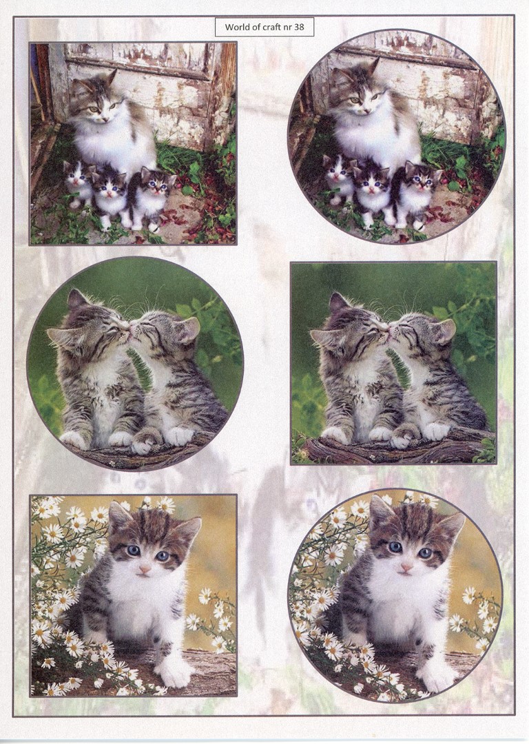 Cutting Sheet - WOC - nr 38 - Cats