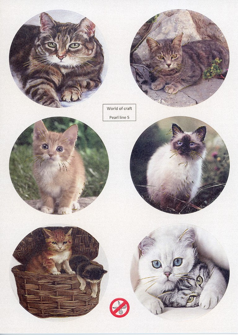 Scenery Parelmoer - WOC - nr05 - Cats - Round