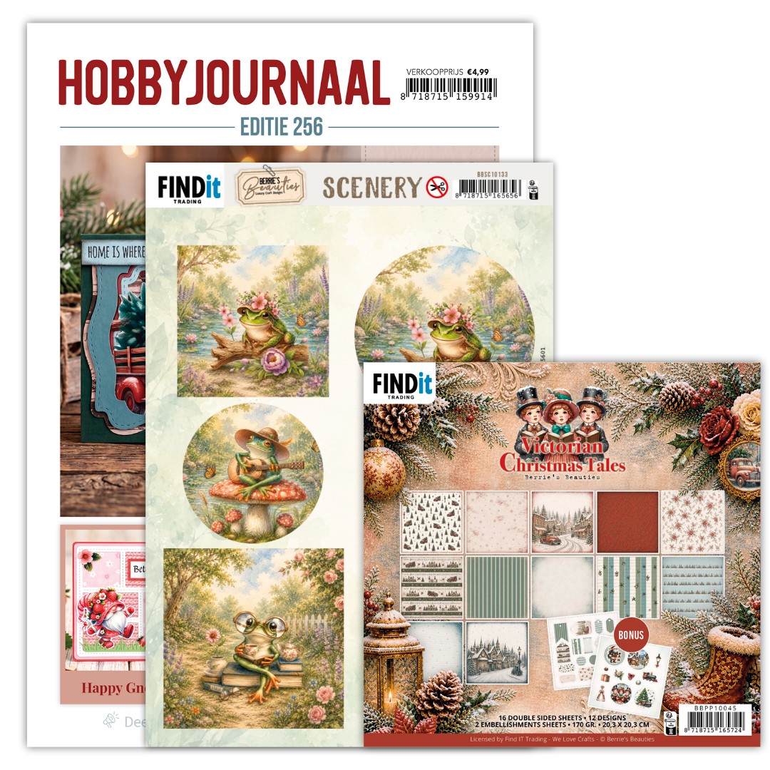 SET Hobbyjournaal 256