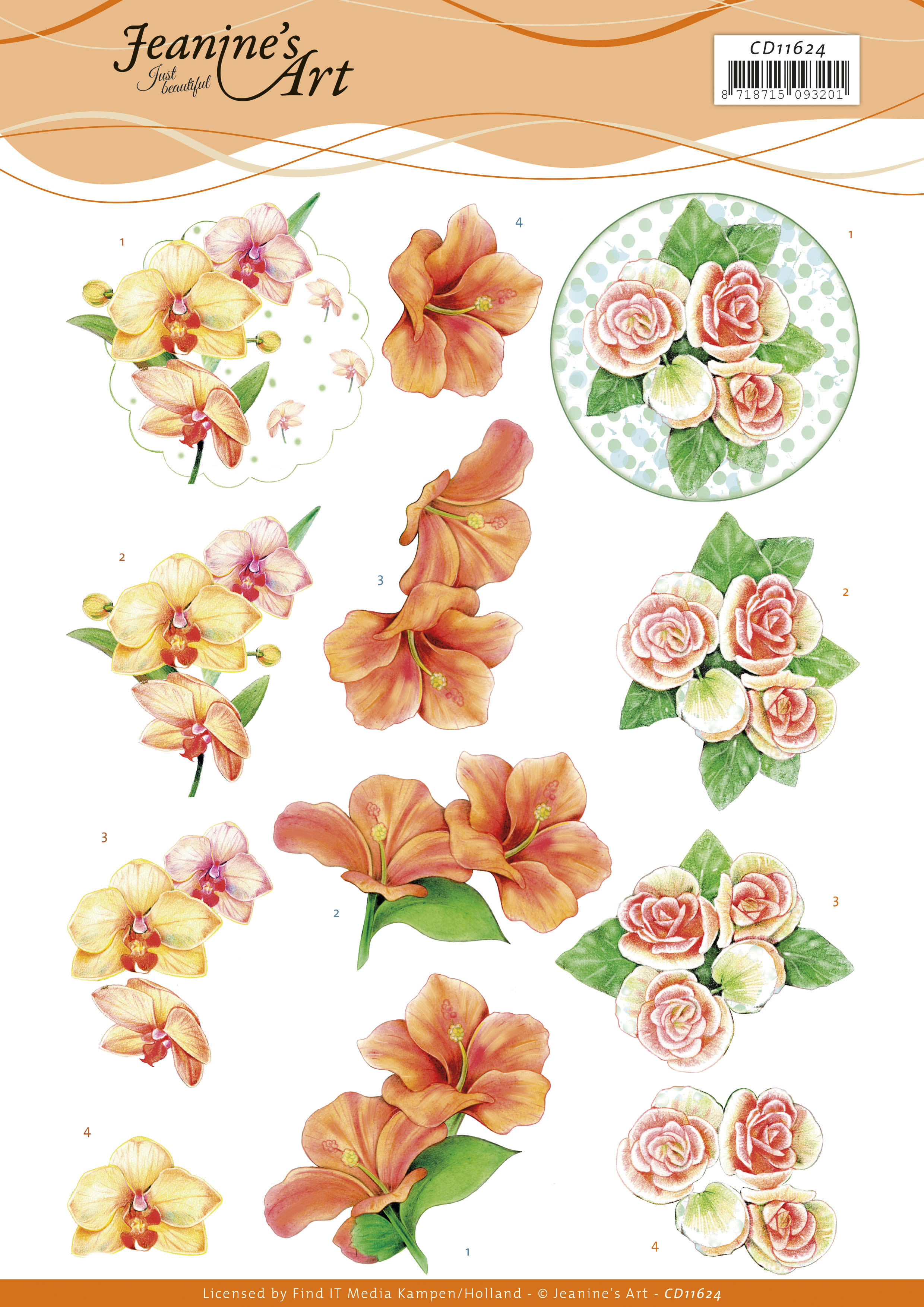 3D Cutting Sheet - Jeanine's Art - Exotic Flowers 3D Cutting Sheet - Jeanine's Art - Exotic Flowers